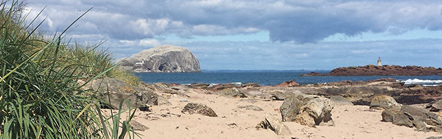 Bass Rock Friend